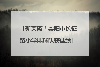 新突破！襄阳市长征路小学排球队获佳绩