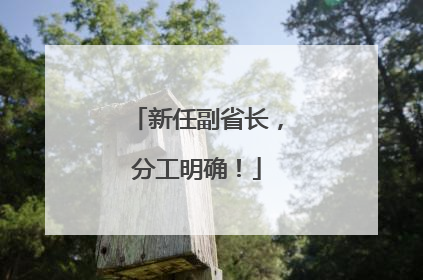 新任副省长，分工明确！