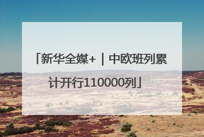 新华全媒+｜中欧班列累计开行110000列
