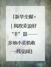 新华全媒+｜风吹麦浪好“丰”景——多地小麦机收一线见闻
