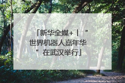 新华全媒+丨“世界机器人嘉年华”在武汉举行