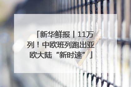 新华鲜报丨11万列！中欧班列跑出亚欧大陆“新时速”