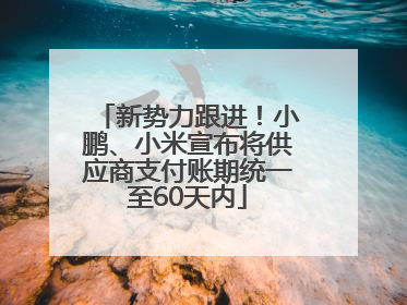 新势力跟进！小鹏、小米宣布将供应商支付账期统一至60天内