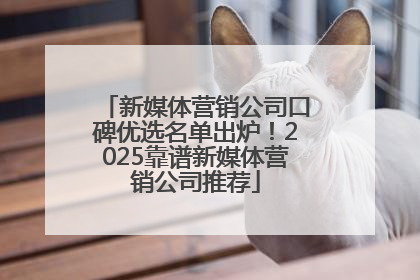 新媒体营销公司口碑优选名单出炉！2025靠谱新媒体营销公司推荐