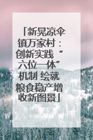 新晃凉伞镇万家村：创新实践“六位一体”机制 绘就粮食稳产增收新图景