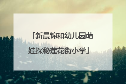 新晨锦和幼儿园萌娃探秘莲花街小学