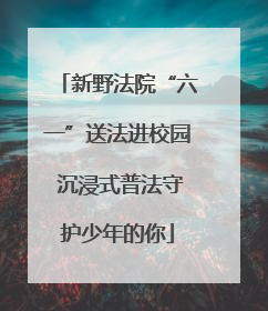 新野法院“六一”送法进校园 沉浸式普法守护少年的你