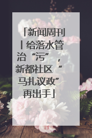 新闻周刊丨给落水管治“污”，新都社区“马扎议政”再出手
