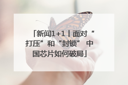 新闻1+1丨面对“打压”和“封锁” 中国芯片如何破局