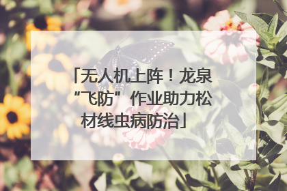 无人机上阵！龙泉“飞防”作业助力松材线虫病防治