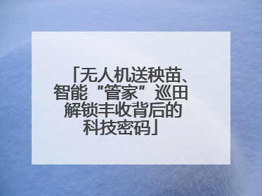 无人机送秧苗、智能“管家”巡田 解锁丰收背后的科技密码