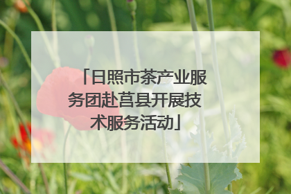 日照市茶产业服务团赴莒县开展技术服务活动