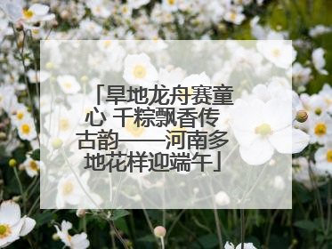 旱地龙舟赛童心 千粽飘香传古韵——河南多地花样迎端午