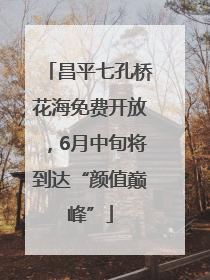 昌平七孔桥花海免费开放，6月中旬将到达“颜值巅峰”