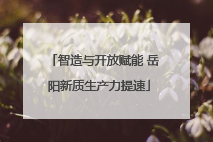 智造与开放赋能 岳阳新质生产力提速