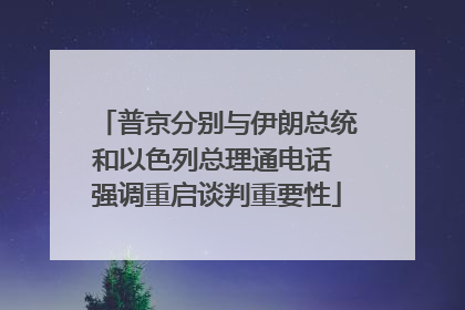 普京分别与伊朗总统和以色列总理通电话 强调重启谈判重要性