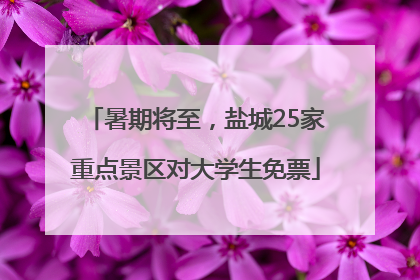 暑期将至，盐城25家重点景区对大学生免票