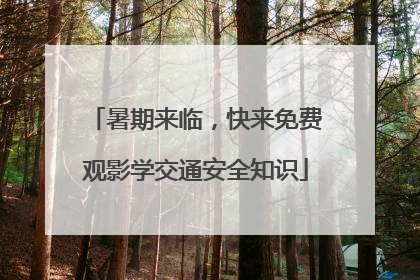 暑期来临，快来免费观影学交通安全知识