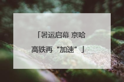 暑运启幕 京哈高铁再“加速”
