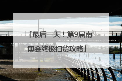 最后一天！第9届南博会终极扫货攻略