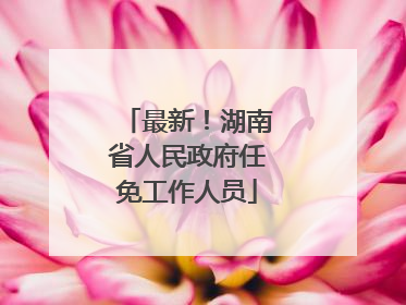最新！湖南省人民政府任免工作人员