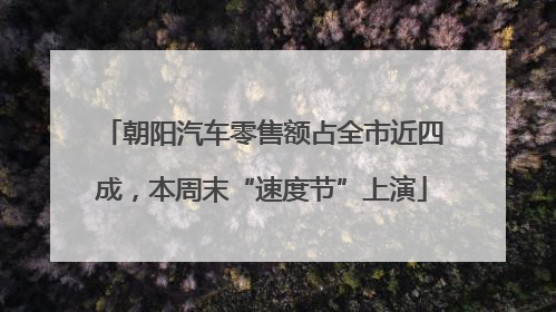 朝阳汽车零售额占全市近四成，本周末“速度节”上演