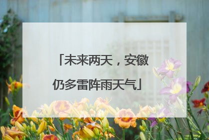 未来两天，安徽仍多雷阵雨天气