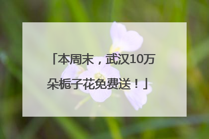 本周末，武汉10万朵栀子花免费送！
