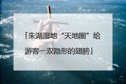 朱湖湿地“天地图”给游客一双隐形的翅膀