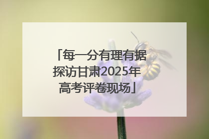 每一分有理有据 探访甘肃2025年高考评卷现场