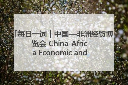每日一词｜中国—非洲经贸博览会 China-Africa Economic and Trade Expo