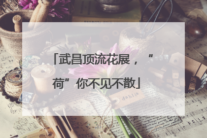 武昌顶流花展，“荷”你不见不散