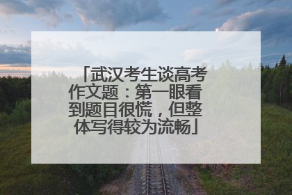 武汉考生谈高考作文题：第一眼看到题目很慌，但整体写得较为流畅