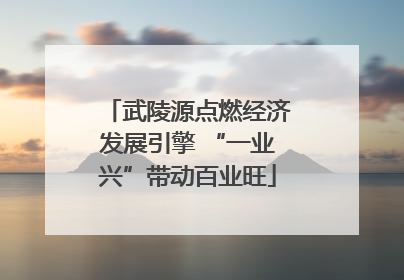 武陵源点燃经济发展引擎 “一业兴”带动百业旺