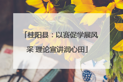 桂阳县：以赛促学展风采 理论宣讲润心田