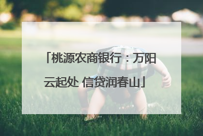 桃源农商银行：万阳云起处 信贷润春山