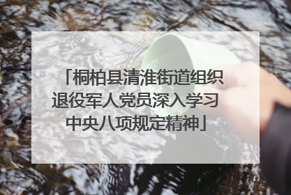 桐柏县清淮街道组织退役军人党员深入学习中央八项规定精神
