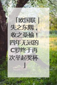 欧国联｜失之东隅，收之桑榆！四年无冠的C罗终于再次举起奖杯