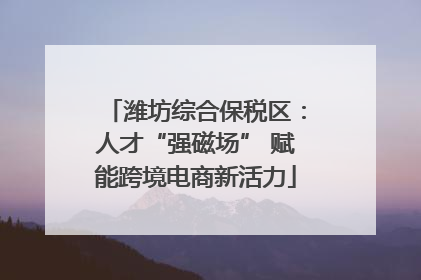 潍坊综合保税区：人才“强磁场” 赋能跨境电商新活力
