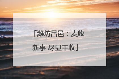 潍坊昌邑：麦收新事 尽显丰收