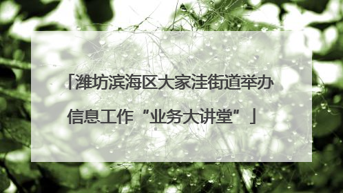 潍坊滨海区大家洼街道举办信息工作“业务大讲堂”