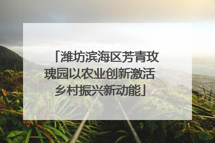 潍坊滨海区芳青玫瑰园以农业创新激活乡村振兴新动能