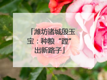 潍坊诸城殷玉宝：种粮“蹚”出新路子