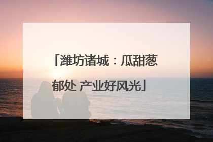 潍坊诸城：瓜甜葱郁处 产业好风光
