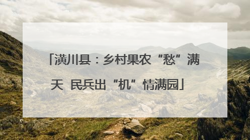 潢川县：乡村果农“愁”满天  民兵出“机”情满园