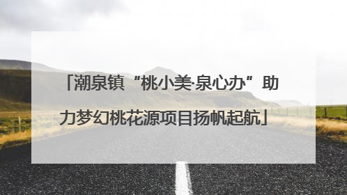 潮泉镇“桃小美·泉心办”助力梦幻桃花源项目扬帆起航