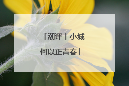 潮评丨小城何以正青春