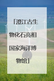 澄江古生物化石亮相国家海洋博物馆