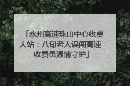 永州高速珠山中心收费大站：八旬老人误闯高速 收费员温情守护