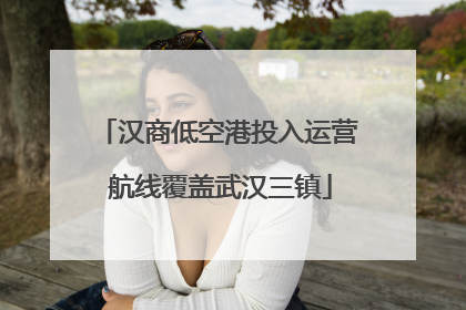 汉商低空港投入运营 航线覆盖武汉三镇